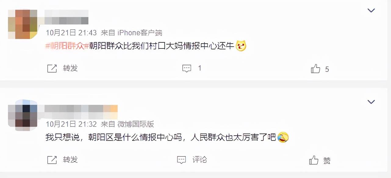 朝阳群众多年来的快速,精准打击公共人物违法犯罪行为让一众网友吃瓜