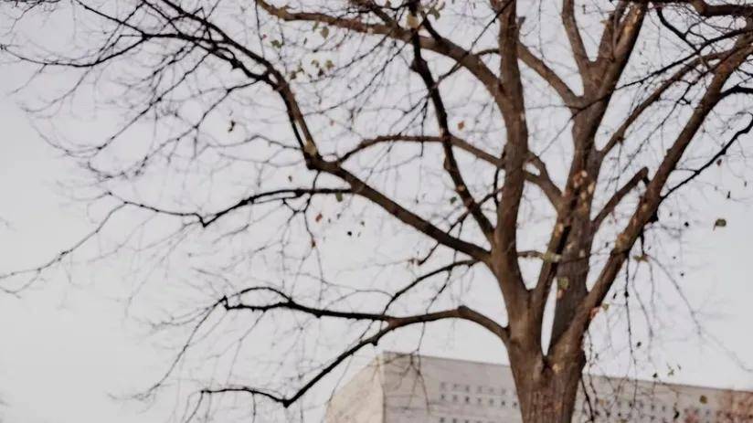 全球高校排行_USNews世界大学排行榜,清华北大双双挺进前50,湖南大学表现亮眼
