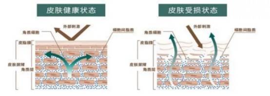 大法皮肤屏障受损怎么办？看看半亩花田的“修护大法”吧