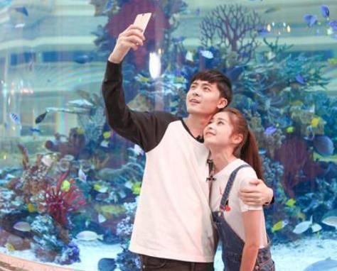 白天鹅 付辛博见了杨超越可能会崩溃,看看杨超越的裤子就知道了