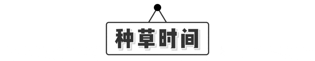 温度 18款绝美围巾，搭卫衣、裙子美炸了！