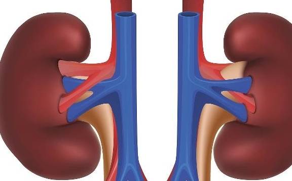 症状|多数“尿毒症”发现就是晚期？早期3个“表现”或许都忽视了！