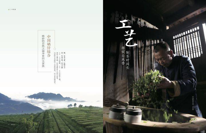 产茶|寿宁高山茶 等一等香的浪漫，甜? | 砾壤茶区