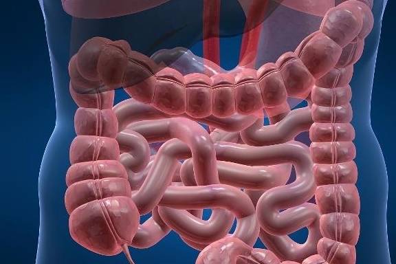 补充|早晨起床,中医给你4个叮嘱,坚持做长寿更青睐你!