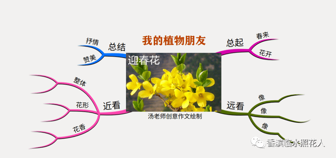 原創思維導圖畫作文我們眼中的繽紛世界三年作文我家的仙人掌七