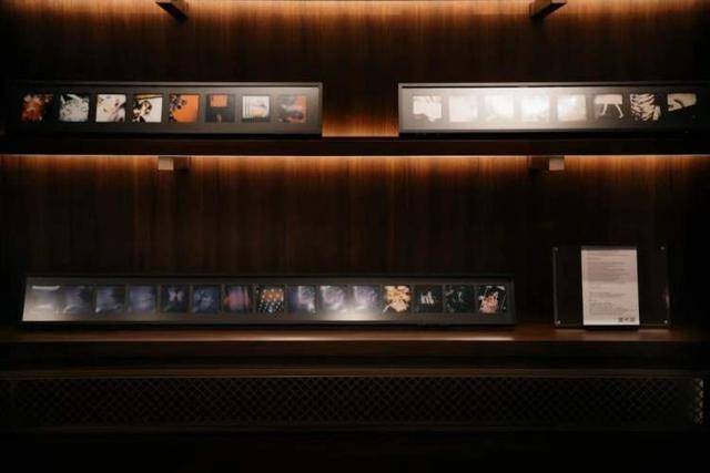 光影 “实花美学”为啥受青睐？这位时尚摄影教主，带来了梦幻的“蜷川世界”