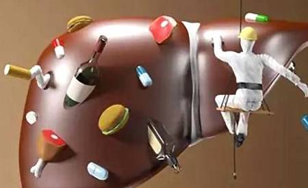 手机|熬夜、久坐,肝不同程度受损,每天做这7件事,肝会变得越来越好