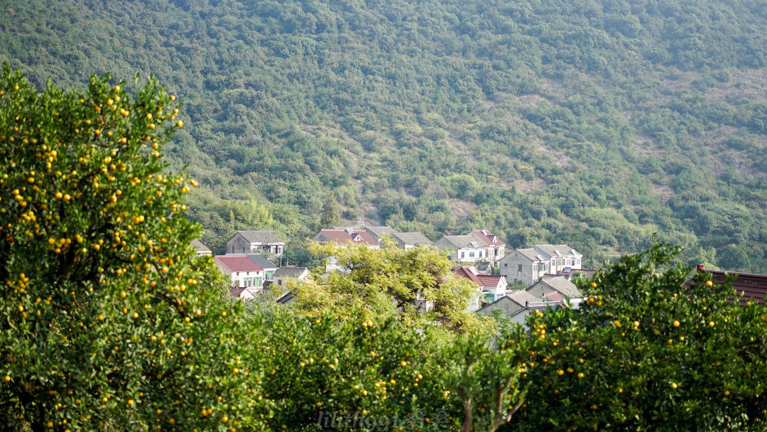 南北湖|秋日限定，海盐南北湖新玩法，等你来嗨