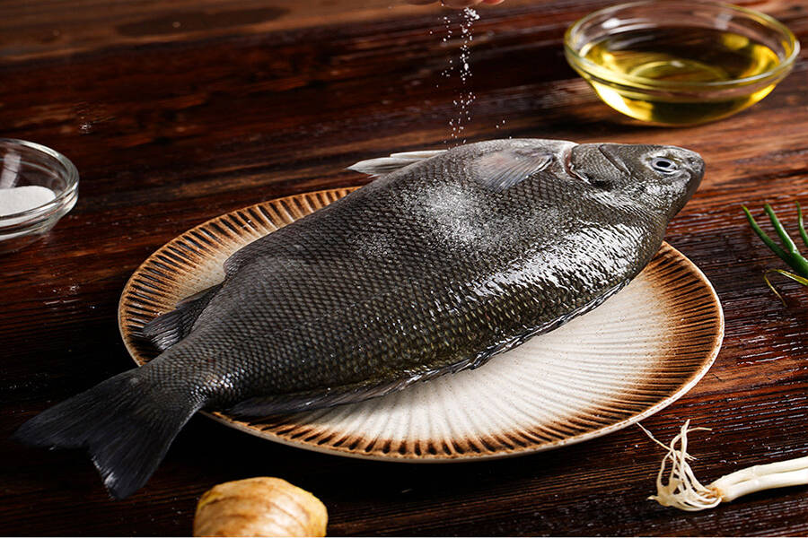 健康干净的翡翠斑鱼正成为食品安全的新代名词其dha含量是三文鱼的4倍