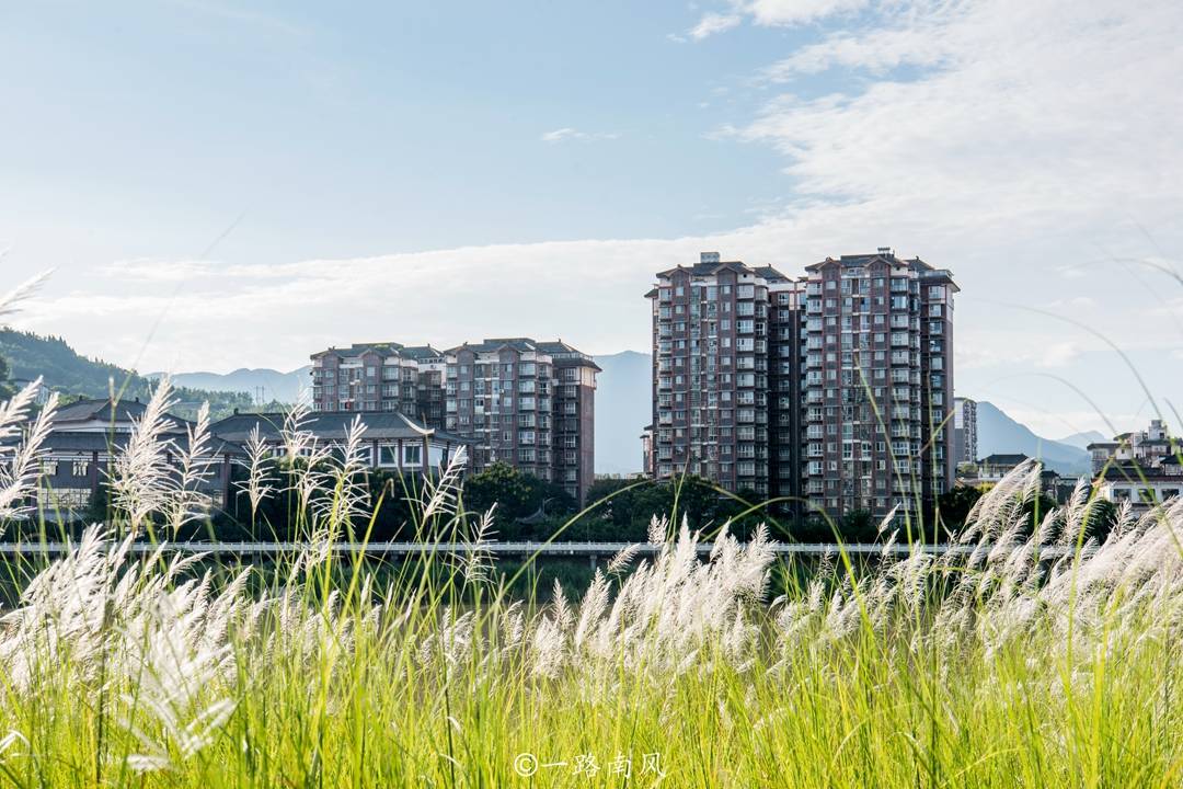 栈道|四川广元冷门景点，网上难以查到资料，芦苇林映衬城市建筑美如画