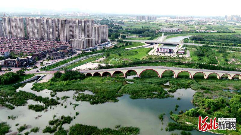 在今天的直播中,保定市满城区岗头小学百余名师生通过直播镜头参观了