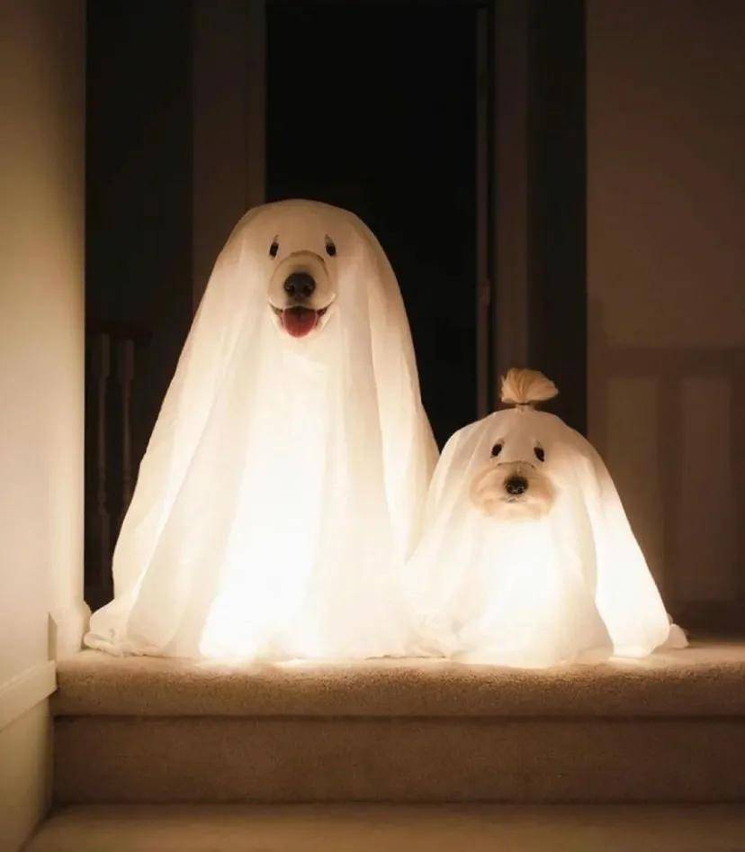 欢乐谷别当鬼了，抓他去出道吧…