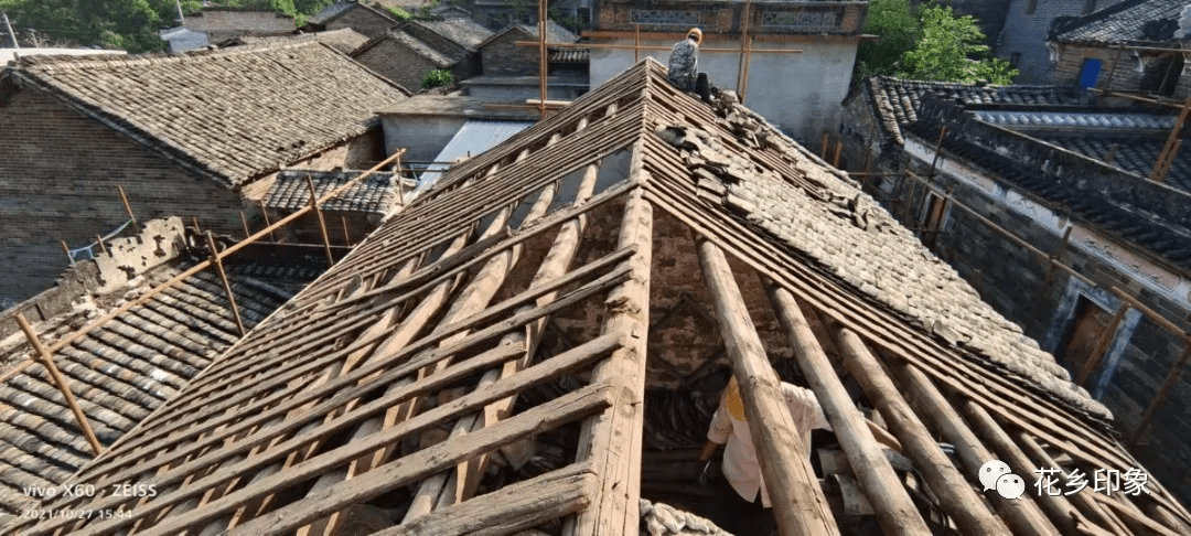 花屋修缮中 古屋焕新貌 山花 全网搜