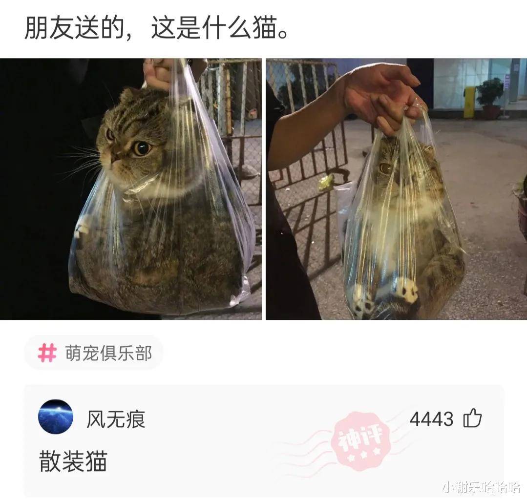 我很色怎么办