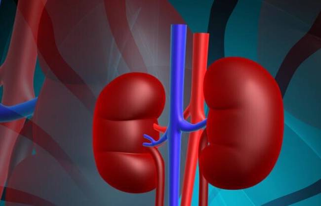 蛋白尿|尿蛋白总不转阴怎么办?先别急,教你3招能及时纠正