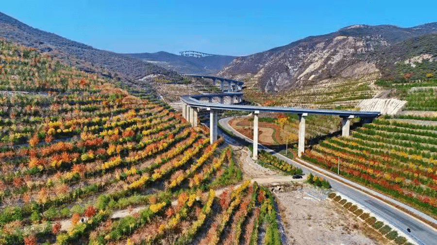 绿化|天龙山公路“红了”