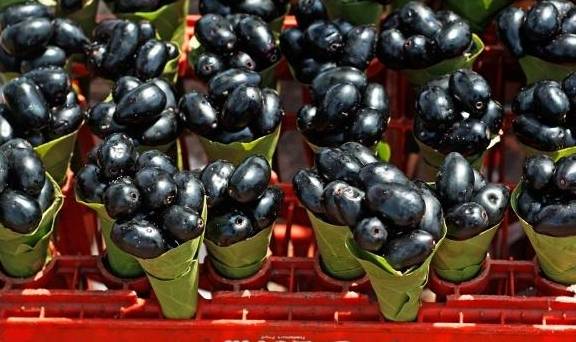 生活|肝病多半和“吃”有关，想要肝好，不妨多吃4物，改掉3个坏毛病