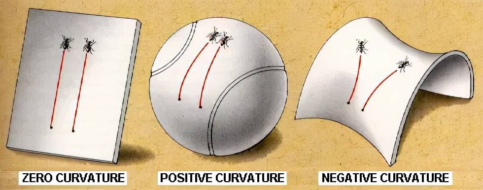 我希望活在黎曼几何里