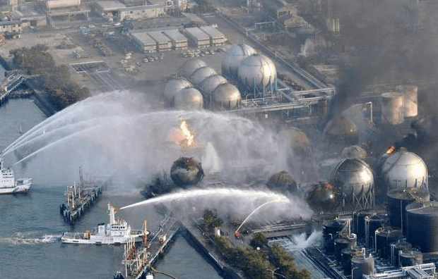 日本老人居住核泄漏区照顾变异动物6年有人却希望他早点过世