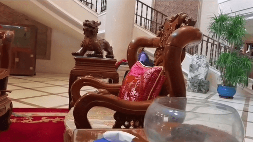 杨子黄圣依豪宅曝光紫檀玉器琳琅满目妈妈开小车在屋里行走