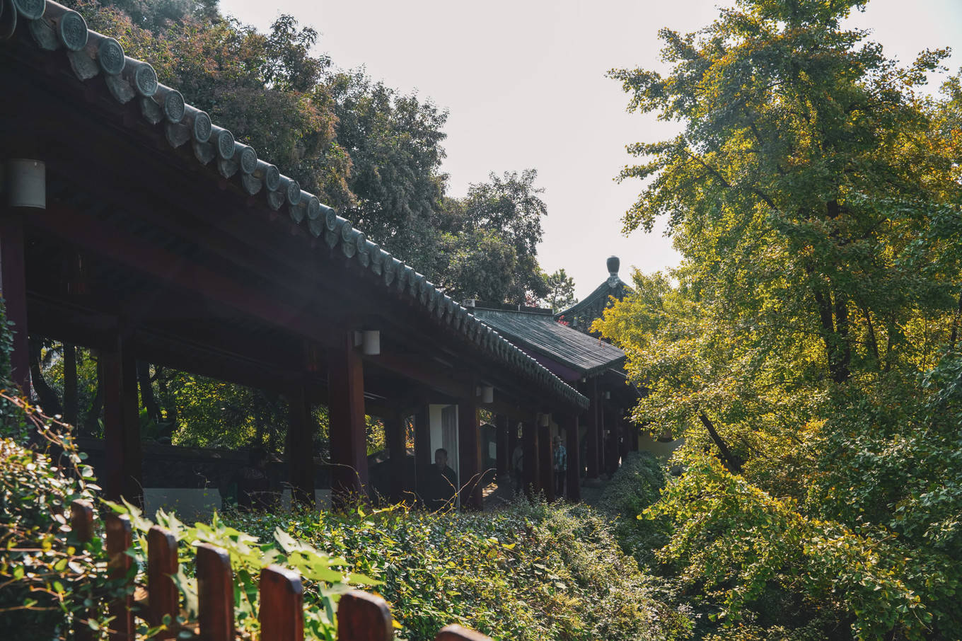 刘备兵|镇江｜何处望神州 满眼风光北固楼（镇江一日游）