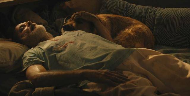 机器人|汤姆·汉克斯2021最新科幻《芬奇》幸存者、机器人和狗的公路狂奔