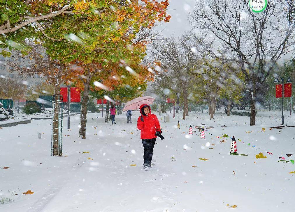 视频|你猜！雪中的武清有多美！