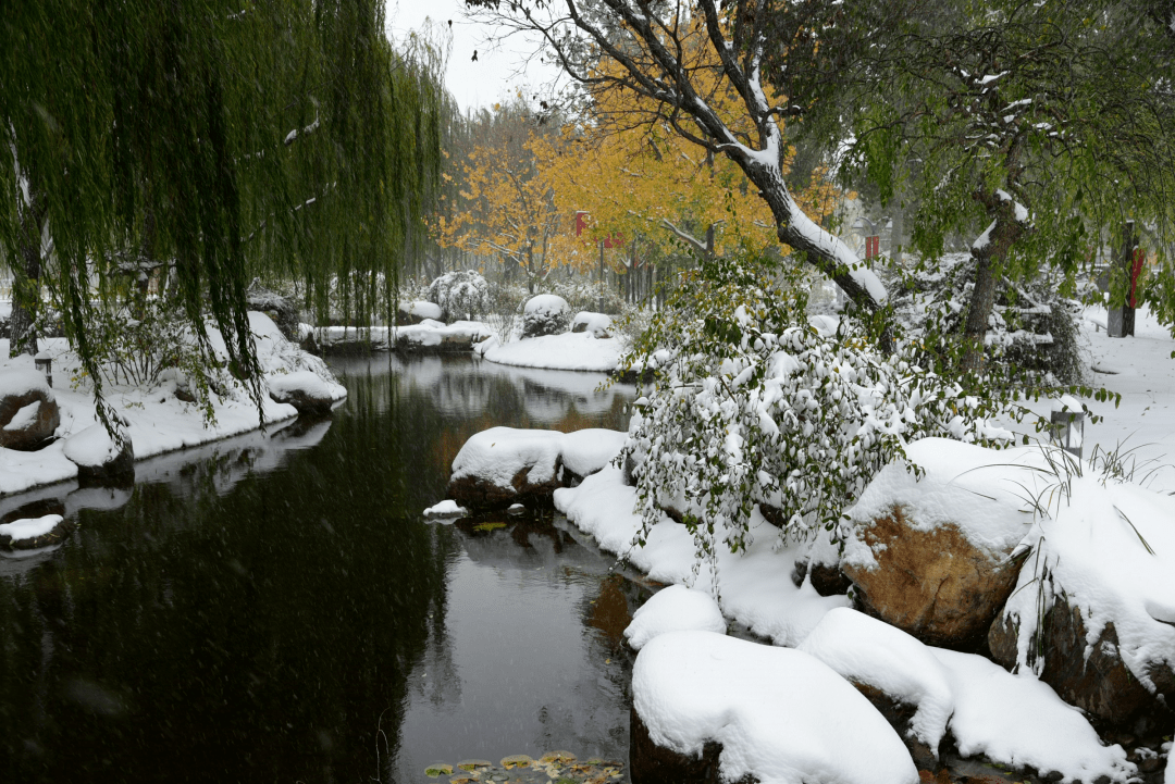 视频|你猜！雪中的武清有多美！