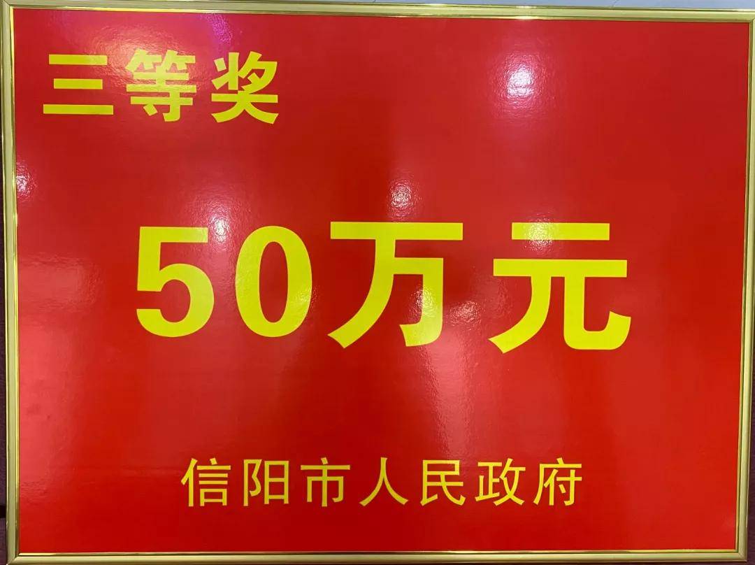 南湾湖风景区获评全市第二阶段生命防护 示范路工程创建工作三等奖