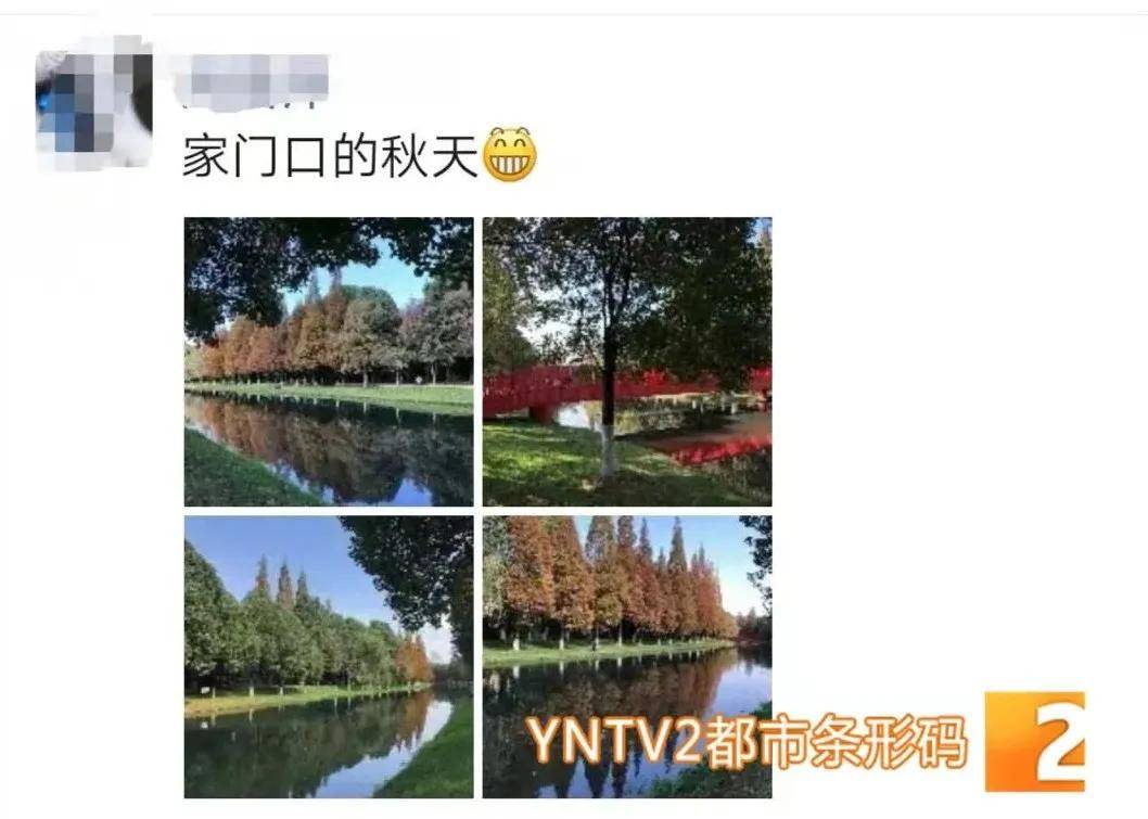 冷空气|好想抓住立冬的阳光！冷空气已经在路上？下周真让人“瑟瑟发抖”......