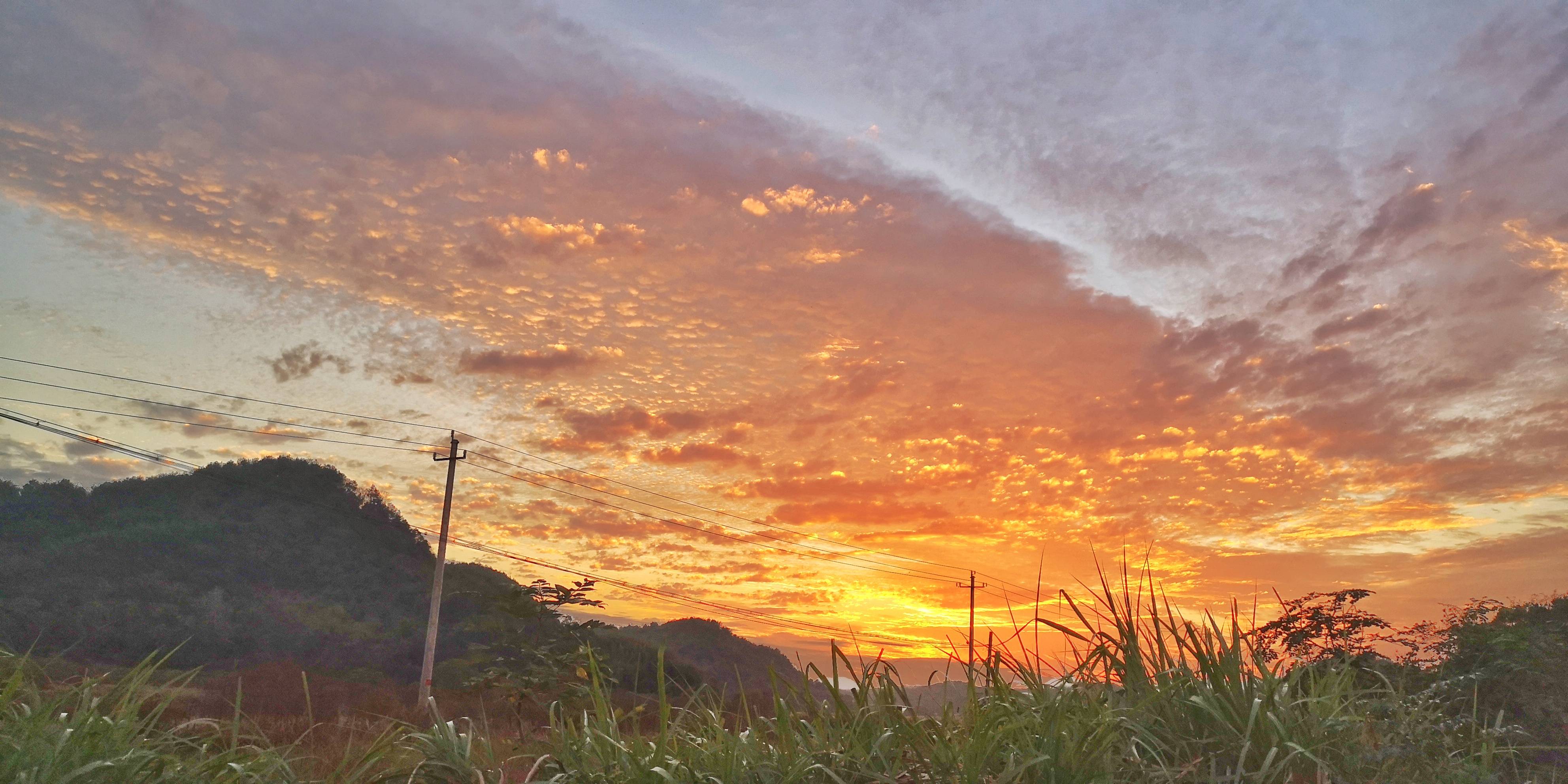 晚霞|金色的田野