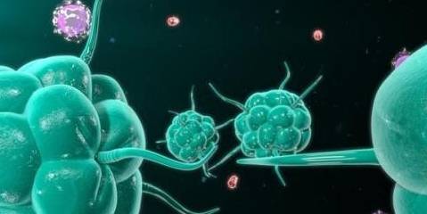 治疗|血管炎可导致肾衰竭,多器官损害,4种高危人群要警惕