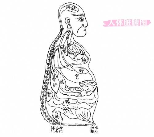 肿瘤|成都中医治疗癌症医院 成都宝芝堂中医馆