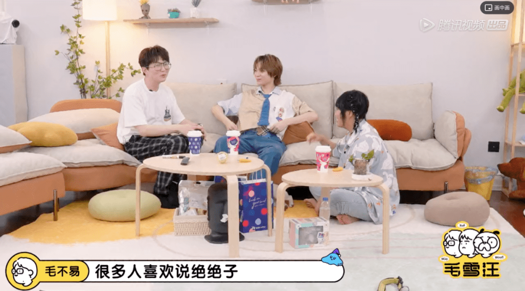 贴近生活|《毛雪汪》，在随意中创造真正的陪伴感