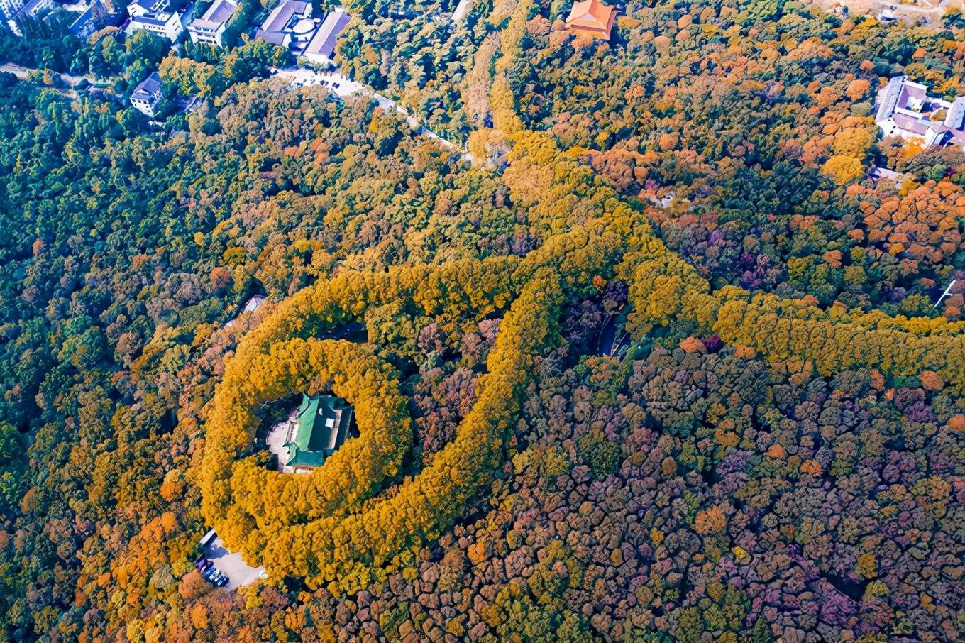 原创11月的南京,美龄宫就成了秋冬美景的天花板