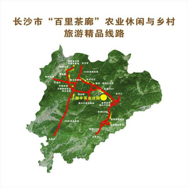 2021年湖南茶叶乡村振兴十大领跑品牌长沙绿茶茗动三湘茶香九洲
