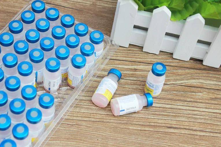 疯狂的猫疫苗假货泛滥的情况下如何抉择