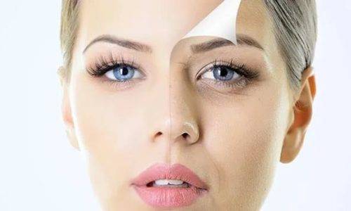 的作用|元祛黄维生素EC颗粒抗女性皮肤衰老的作用分析