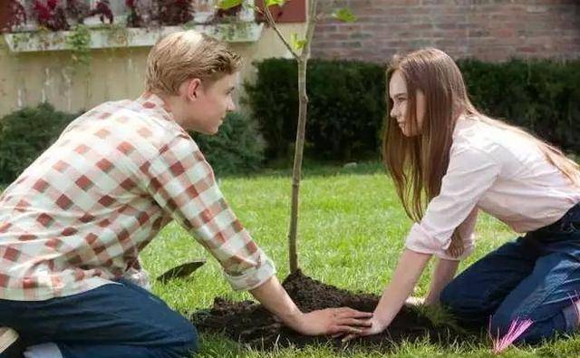 情侣|电影私藏丨30部适合情侣一起看的爱情电影