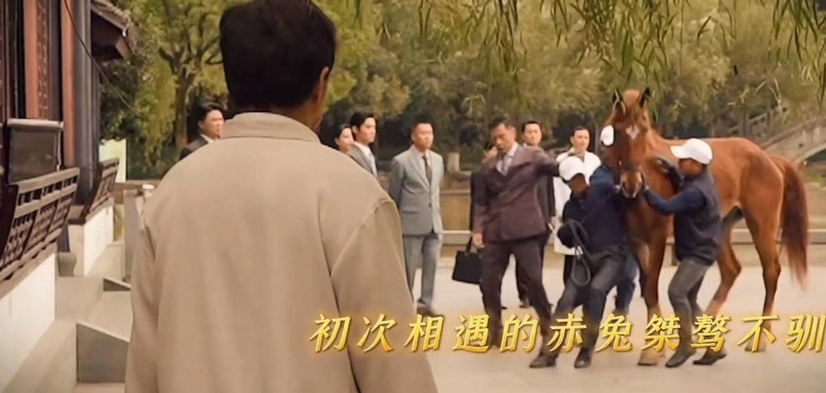 电影|成龙新片一匹马火了！电影杀青大家给它喂蛋糕，大哥还给它擦眼泪
