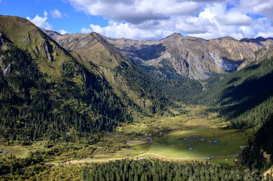 尼康Z 40mm f/2镜头评测：定义入门标头新标准