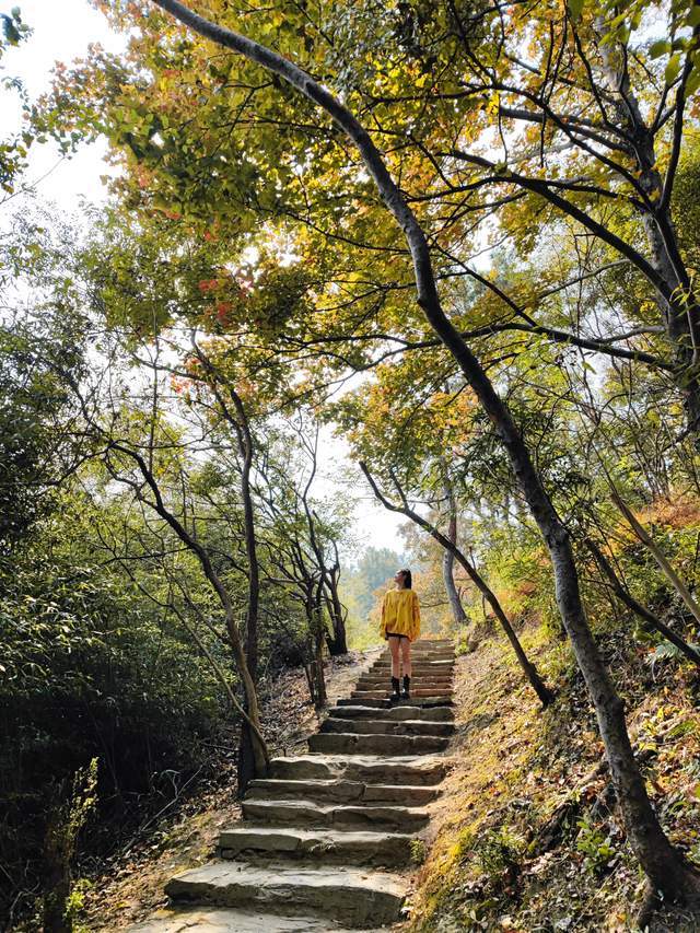 色彩|木兰胜天：自在安逸胜过天人，定格黄陂醉美“秋波”