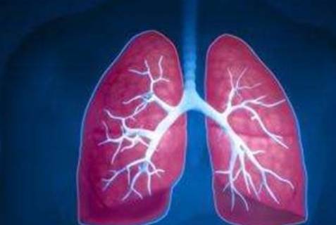 肾脏|尿蛋白、水肿、贫血，哪个容易引起“肾衰”呢？早了解早预防