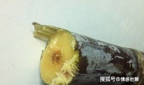 甘蔗|有4种“零食”孩子最好少吃,对身体损害很大,特别是第一种