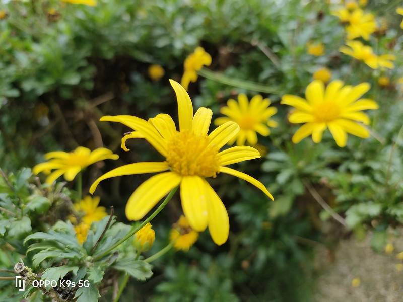 OPPO K9s上手体验：性能与颜值都兼得的超值千元超值机