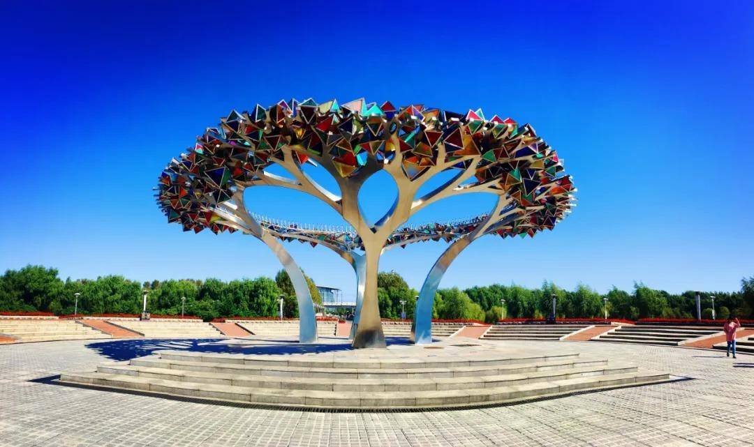 全国表彰!这3人,同一天登上人民大会堂,还来自东北同一所大学