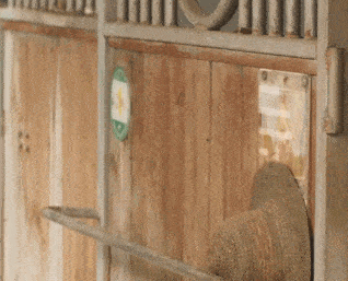 冯绍峰|以为冯绍峰靠它翻身，没想到翻车