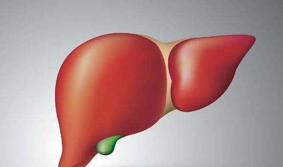 严重|患有乙肝的人,可以吃鸡蛋吗?