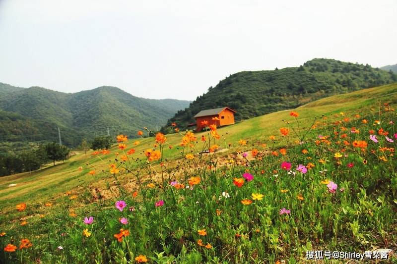 陕西面积最小的地级市，终于结束无铁路的历史，曾4次入选“最具幸福感城市”