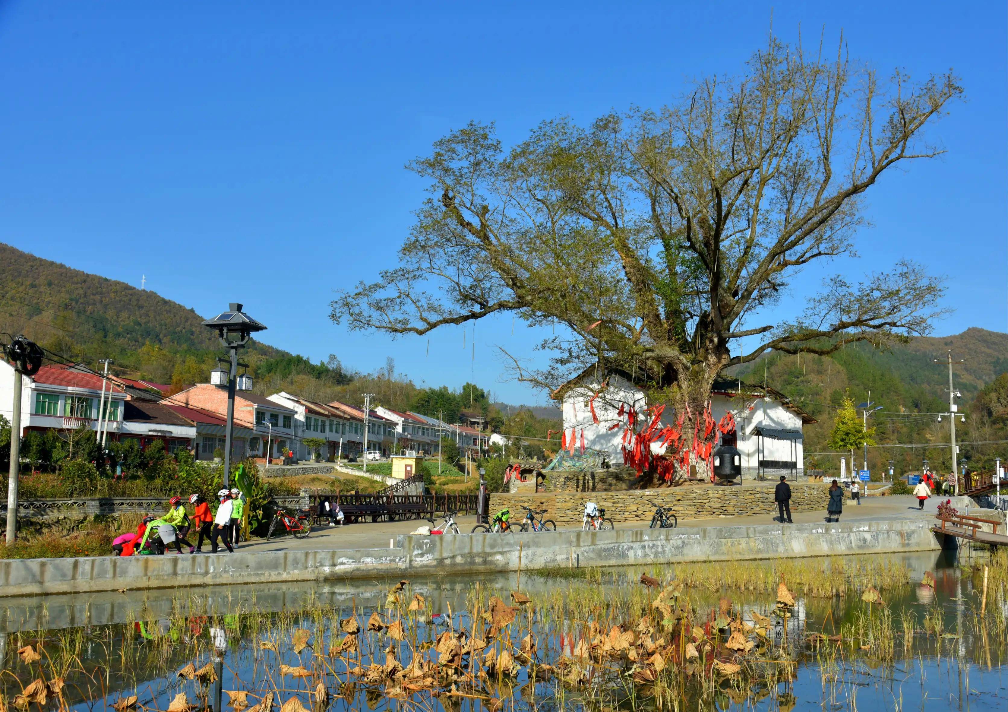 陕西果业产区行走进汉阴——三圣故里 兴业福地